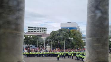 newzealand.jpg