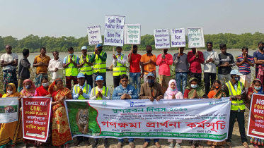 sundarban.jpg