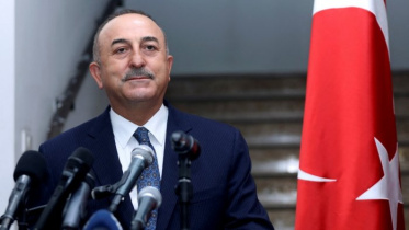 turkey.jpg