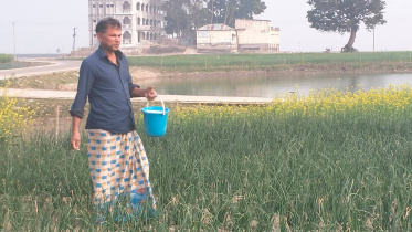 natore_farmer_useing_solt_in_onion_feild._photo-star_2.jpg