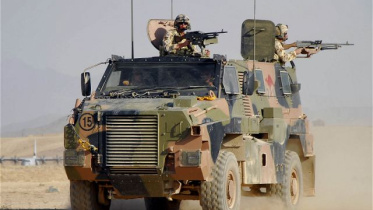 bushmaster