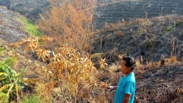 bandarban_jhum_garden_fire_photo_collected_1.jpg