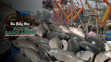 fish_festival.jpg