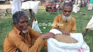 lalmonirhat_paddy_price.jpg