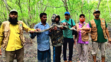patuakhali_pic-_339_03.06.22jpg.jpg
