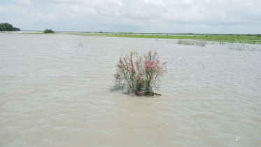 flood_photo-2.jpg