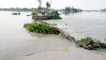 tangail-1.jpg