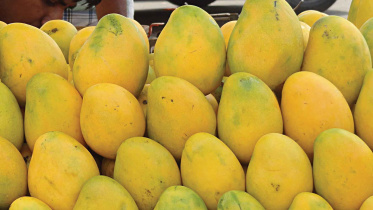 mango.jpg