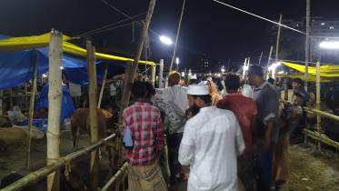 cattle_market.jpg