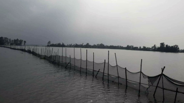 fish_kishorganj.jpg