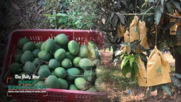 fruit_bag_mango.jpg