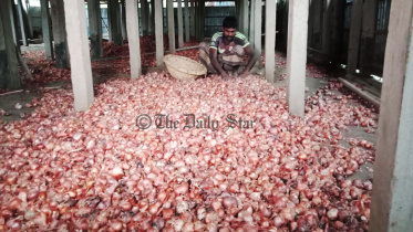 onion_1.jpg