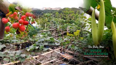 rooftop_garden.jpg