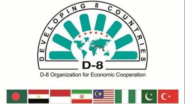 d-8_1.jpg