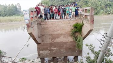 tangail_pic-1_2.jpg