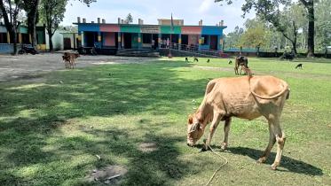 lalmonirhat_school_students-05.jpg