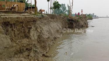 flood2.jpg