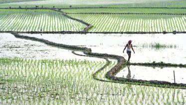 a_country_of_famished_farmers.jpg