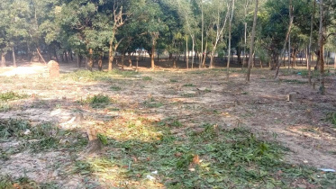 whatsapp_image_2022-08-18_at_3.51.05_pm.jpeg