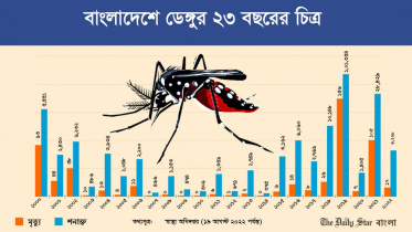 Dengue.jpeg