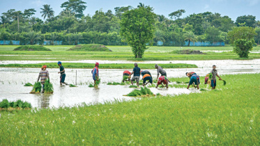 khulnaamon.jpg