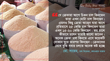 rice-01-01.jpg