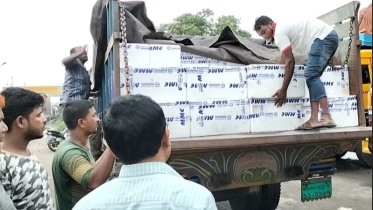 ইলিশ