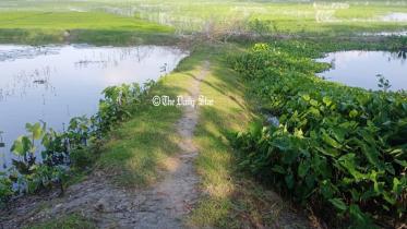 patuakhali_1.jpg