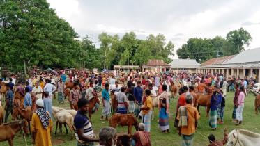 jamalpur.jpg