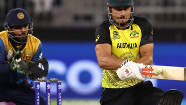 stoinis.jpg