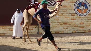 qatar.jpg