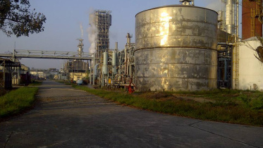 photo4.jpg