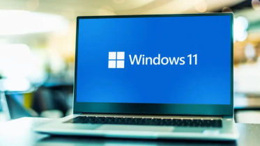 windows.jpg