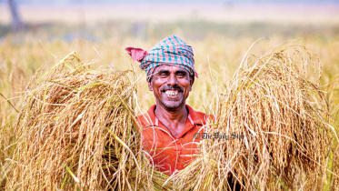 farmer.jpg