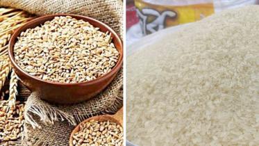 rice-01.jpg