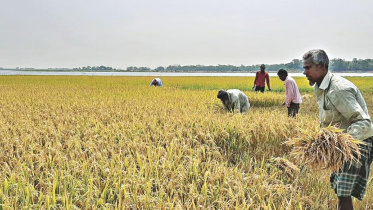 agri.jpg