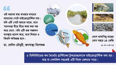 plastic_and_fish-01.jpg