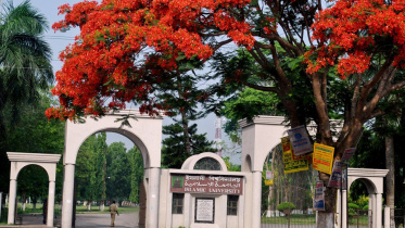 ইসলামী বিশ্ববিদ্যালয়