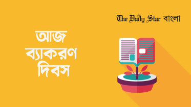 দিবস, বিচিত্র দিবস, ব্যাকরণ দিবস,