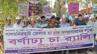 lalmonirhat_tea_board_chairman-02.jpg