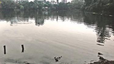 ponds.jpg