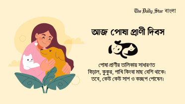 দিবস, বিচিত্র দিবস, পোষা প্রাণী দিবস,