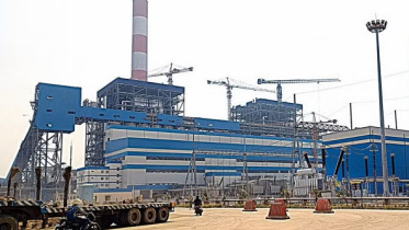 adani_3_1.jpg