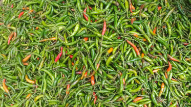 chili.jpg