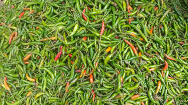 green-chillies_ds.jpg