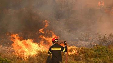 greece_wildfire.jpg