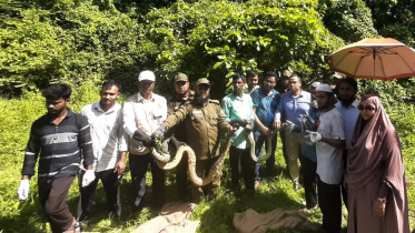অজগর