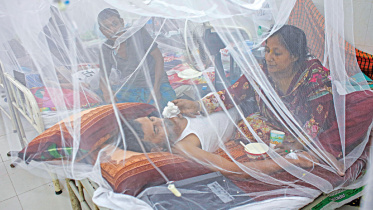 ডেঙ্গু