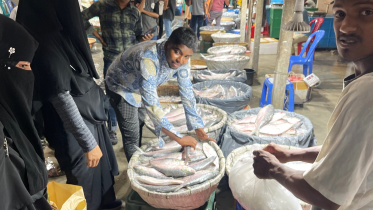 ইলিশ.jpg