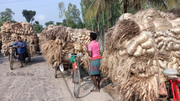 পাটের দাম